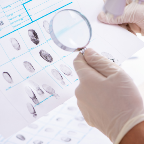 Crime Lab