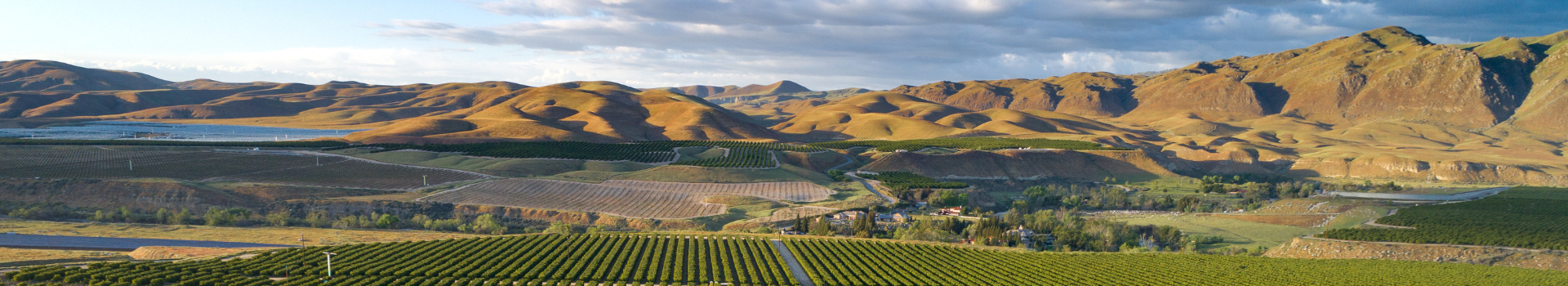 Central Valley Program