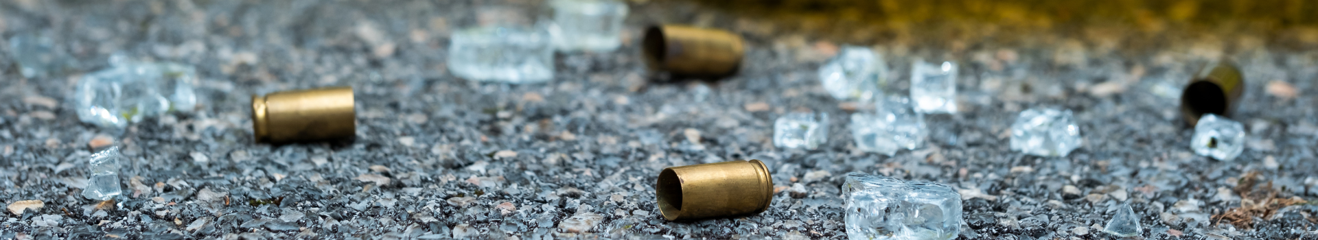 Crime Scene Response