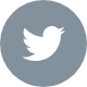footer-tw@2x (1)