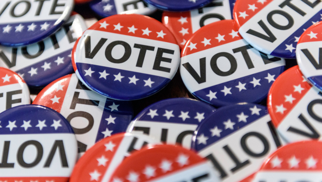 Voting pins