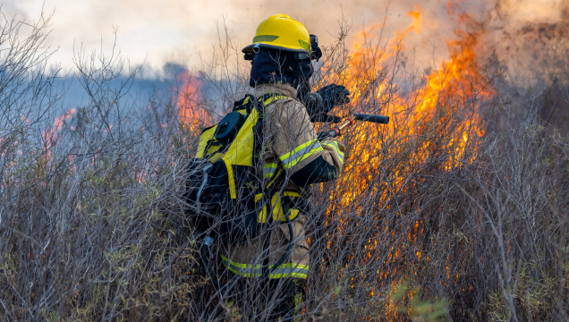 Firefighter battling flames at a brush fire