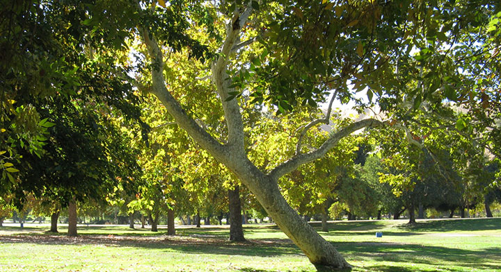 hart-park