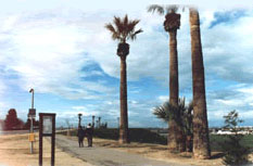 panorama