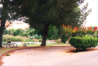 Kern River Campground