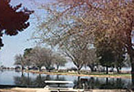 lake woollomes
