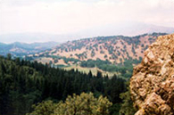 Tahachapi Mountain PArk