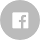 fb@2x