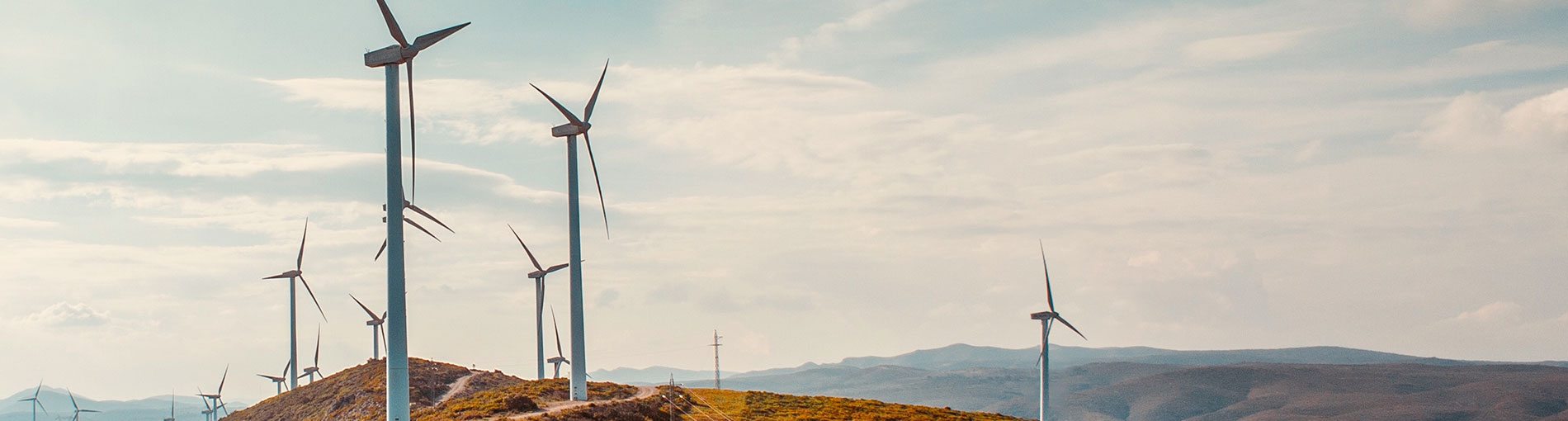 windmills