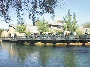 Silver Saddle Resort & Club