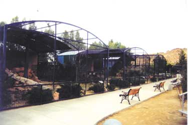 Exotic Feline Breeding Compound