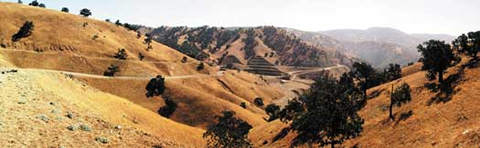 Tejon Ranch