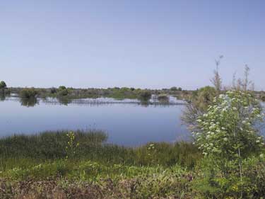 Kern National Wildlife Refuge