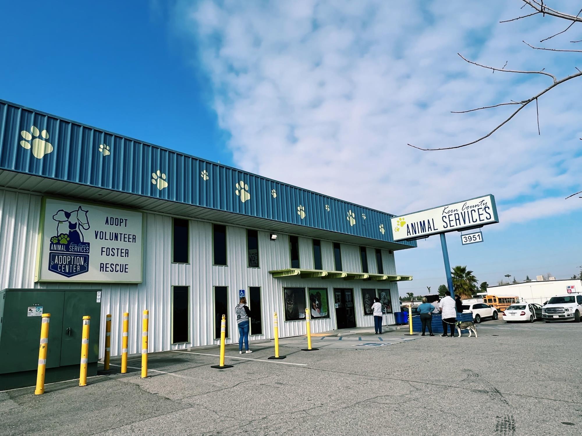 Animal Shelter