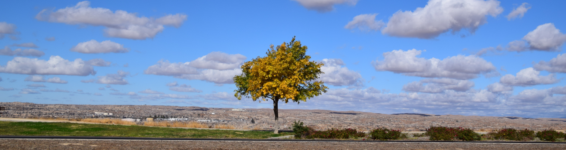 Panorama Park 1