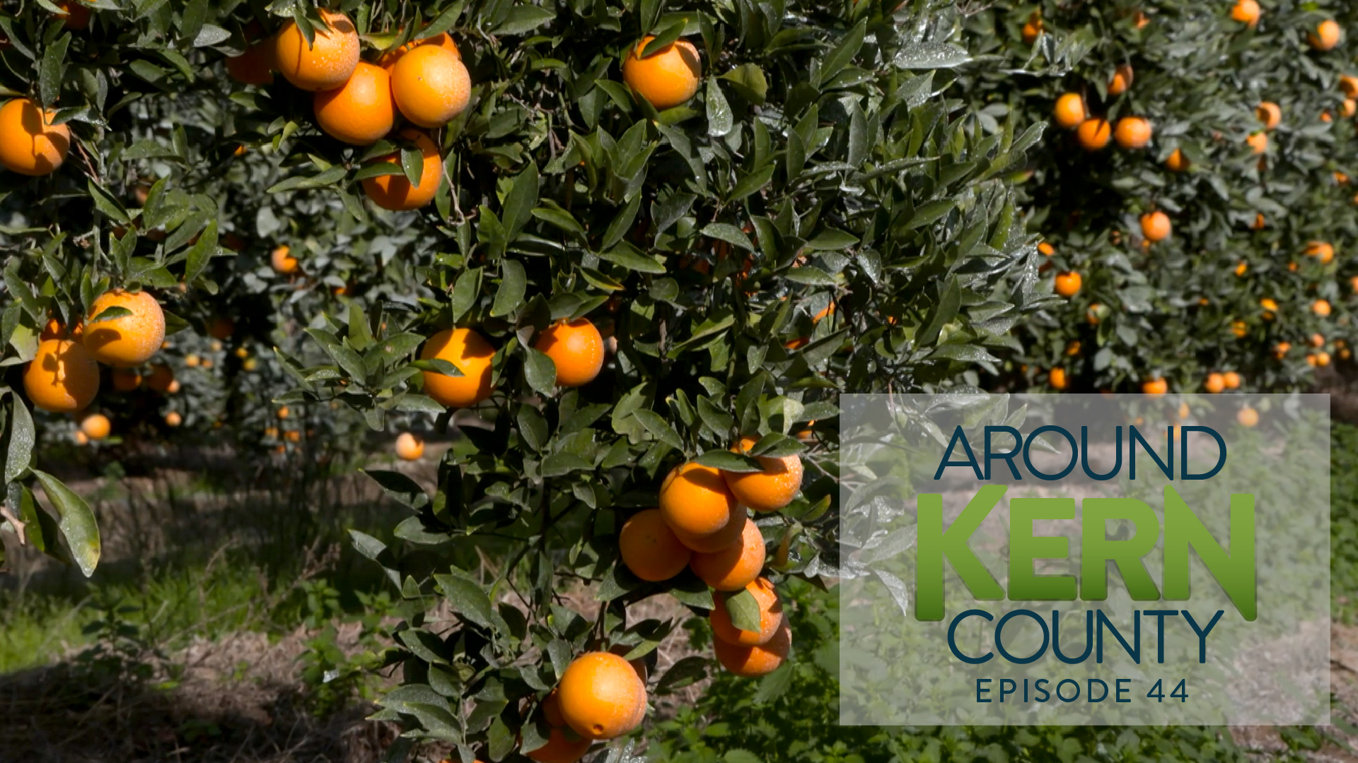 Around Kern County_44